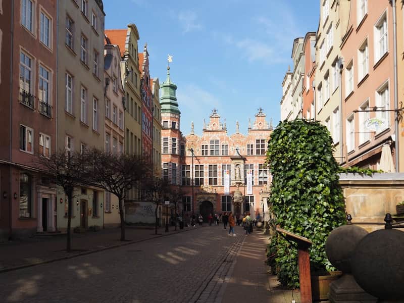 Zadrzewiona ulica we Wrzeszczu w Gdańsku
